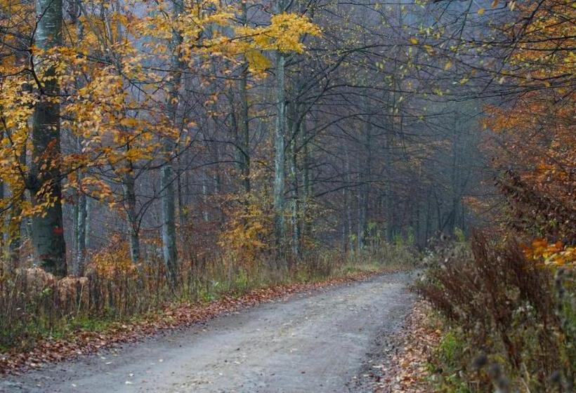 Pensiunea Steaua Nordului