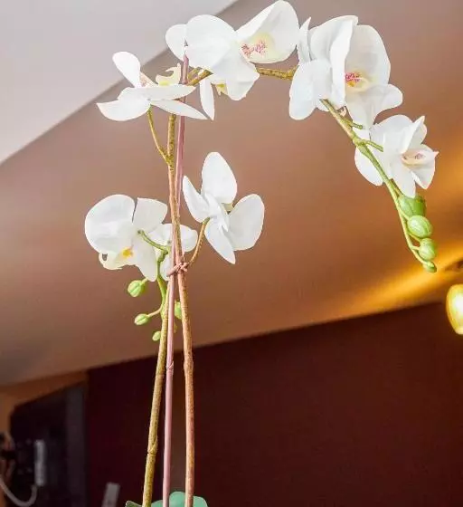 ホテル східний