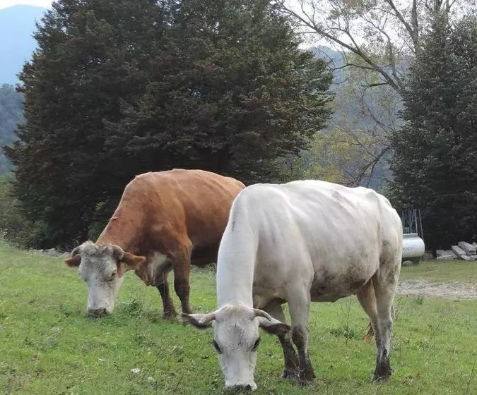 ホテル Agriturismo Il Balcone Sulla Valle