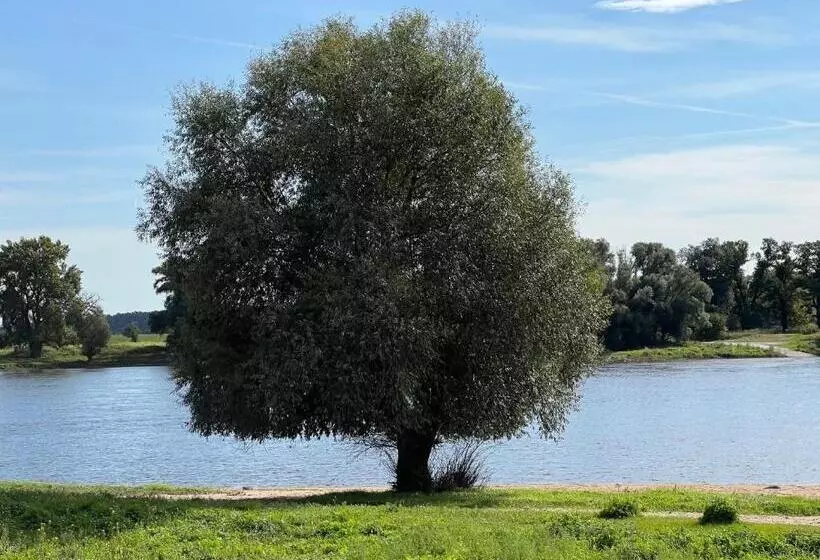 Hotelli Alte Fischerkate