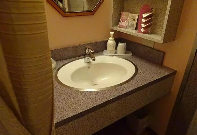 ホテル Rplus Higashimatsuyama