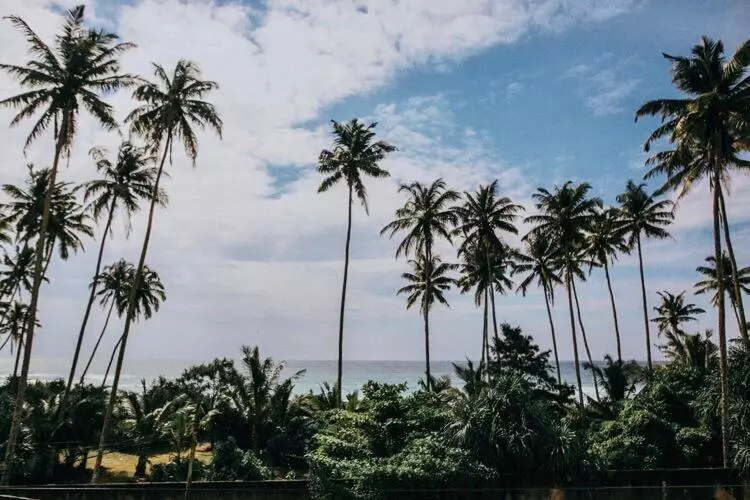 Majatalo The Wave Surf Inn Midigama