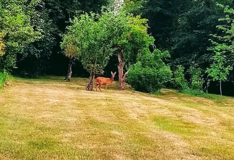 Nocleg ze śniadaniem Maison Grandsire Chambres D Hôtes