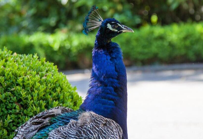 Nocleg ze śniadaniem Maison Grandsire Chambres D Hôtes