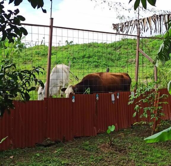 酒店 Casona Del Valle