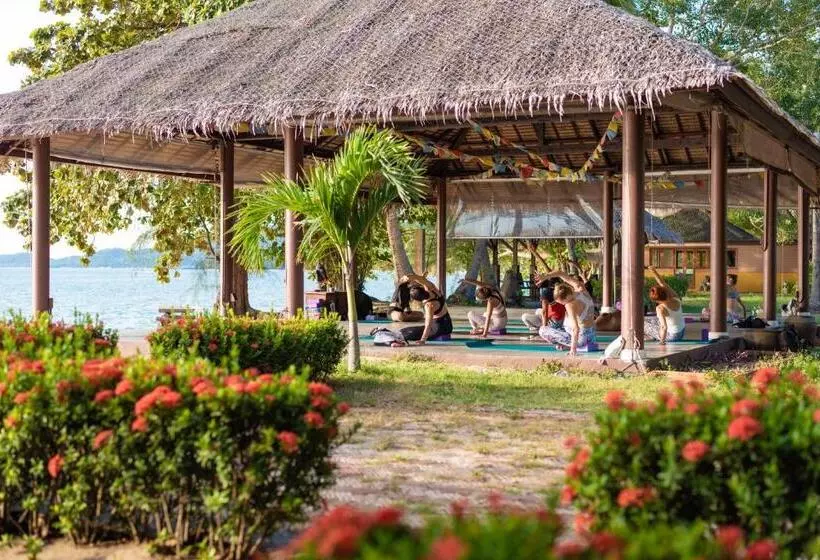Hotelli Satva Samui Yoga And Wellness Resort