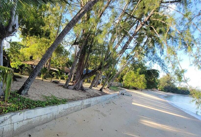 Hotel Satva Samui Yoga And Wellness Resort