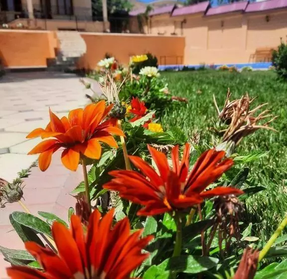 Majatalo зона отдых Apachi в горах чимган