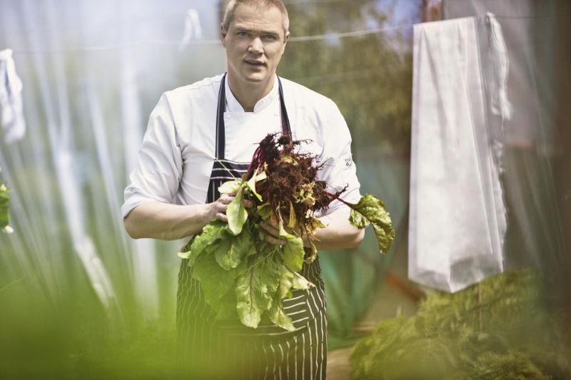 فندق Cliff House