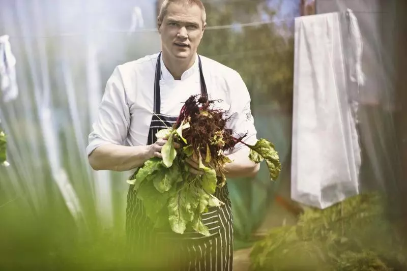 فندق Cliff House