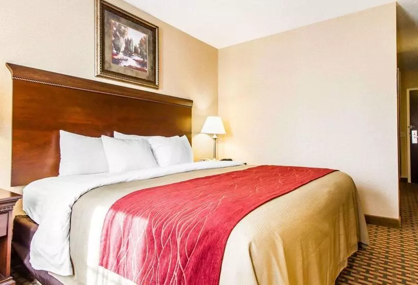 酒店 Comfort Inn & Suites Scarborough Portland