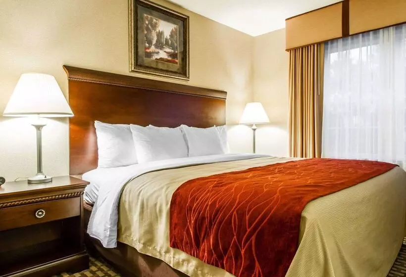 酒店 Comfort Inn & Suites Scarborough Portland