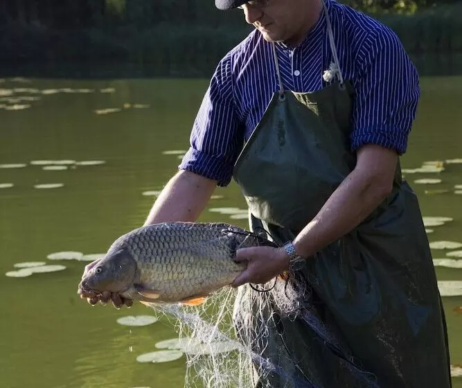 Hotelli Gut Klostermuhle Natur Resort & Medical Spa