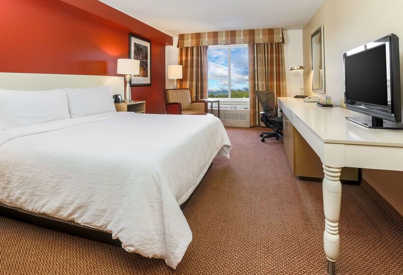 ホテル Hilton Garden Inn Anchorage