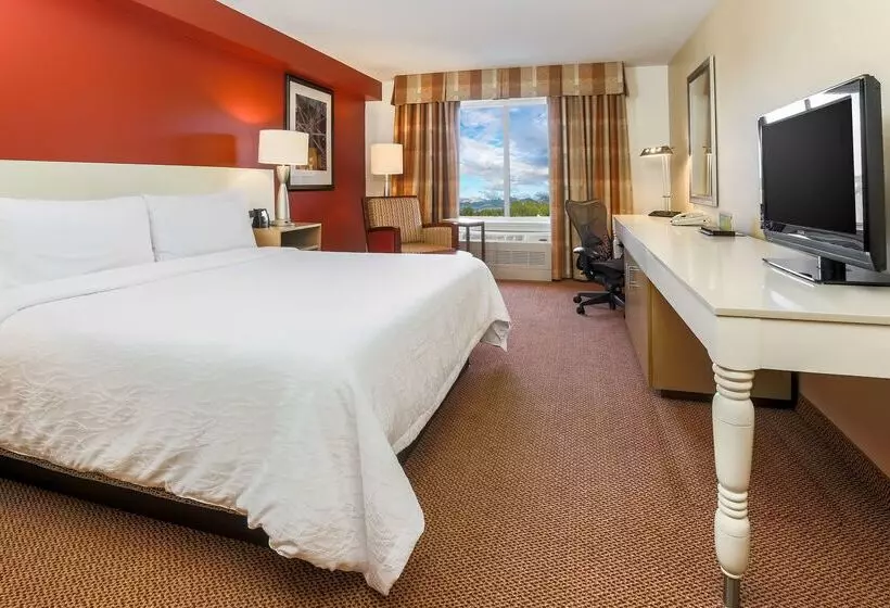 호텔 Hilton Garden Inn Anchorage
