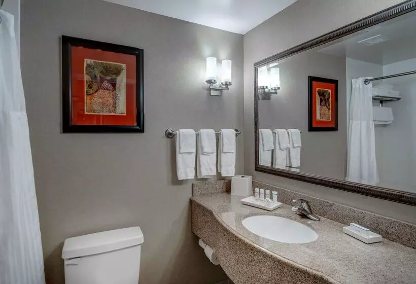 Hotel Hilton Garden Inn Augusta