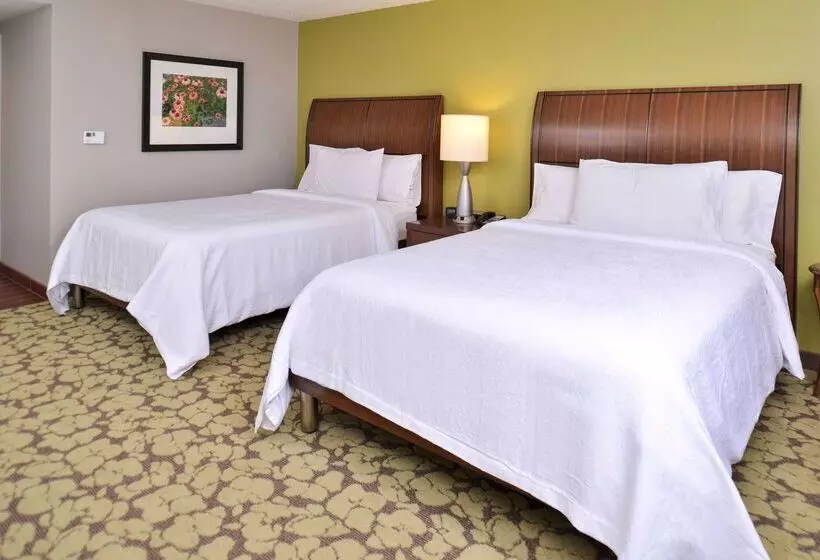 酒店 Hilton Garden Inn Indianapolis/carmel