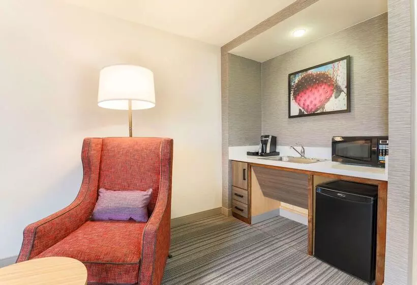 فندق Hilton Garden Inn Reno