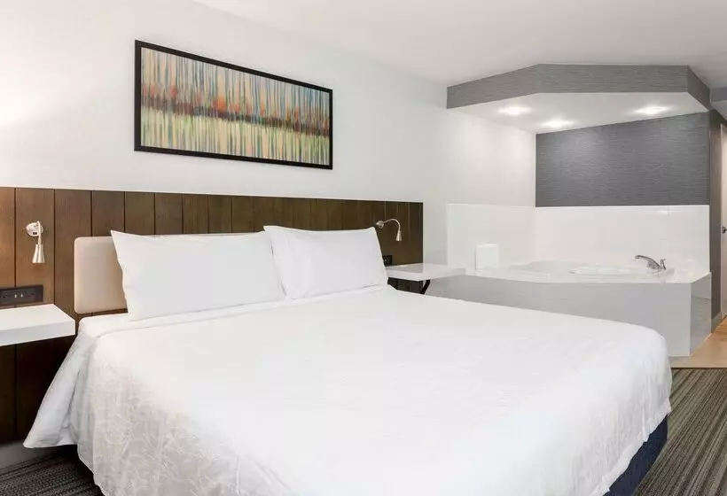 فندق Hilton Garden Inn Reno