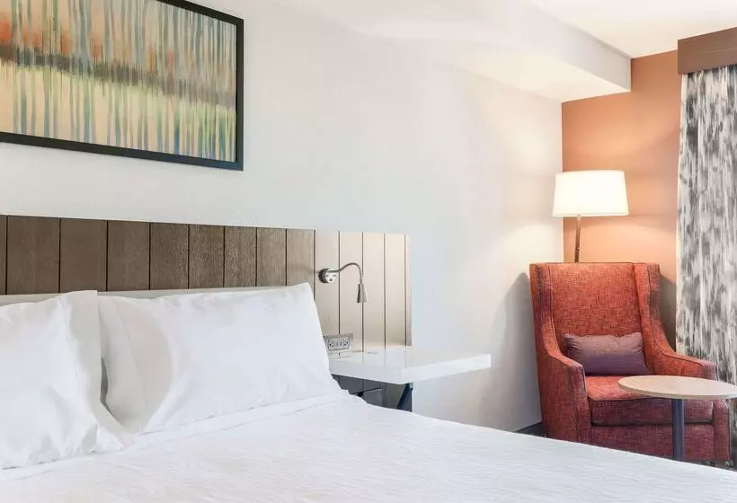 فندق Hilton Garden Inn Reno