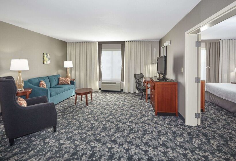 בית מלון כפרי Hilton Garden Inn Schaumburg