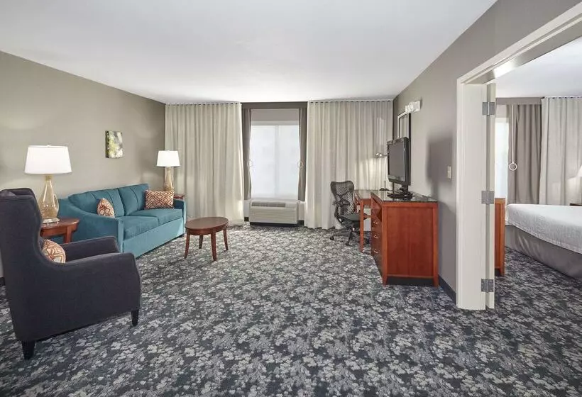 هتل Hilton Garden Inn Schaumburg