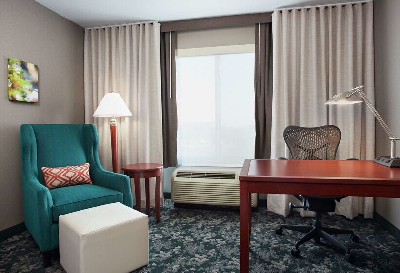 בית מלון כפרי Hilton Garden Inn Schaumburg