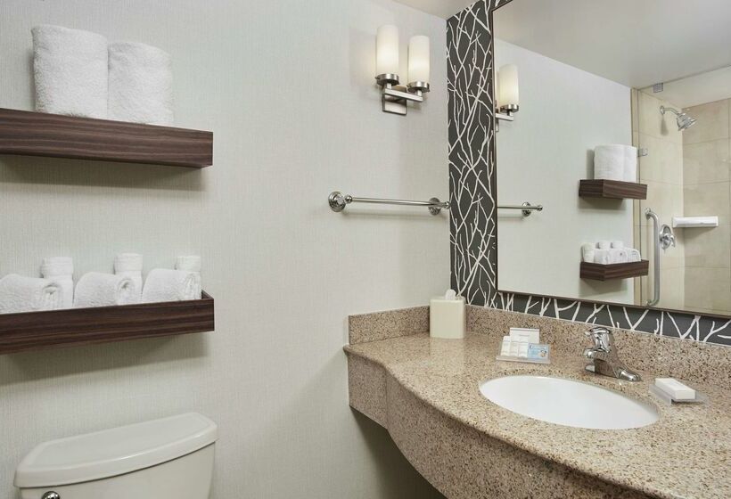 בית מלון כפרי Hilton Garden Inn Schaumburg