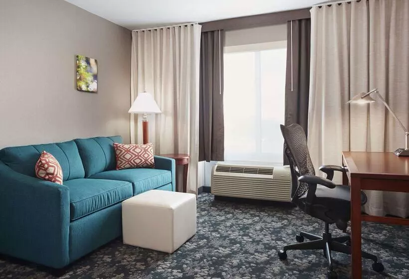 هتل Hilton Garden Inn Schaumburg