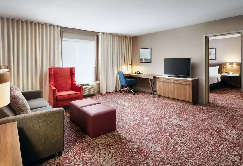 هتل Hilton Garden Inn Schaumburg