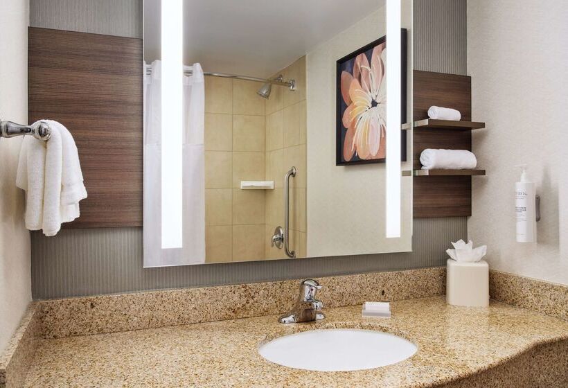 בית מלון כפרי Hilton Garden Inn Schaumburg