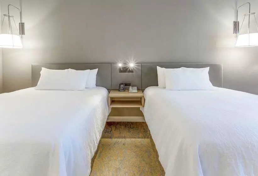 ホテル Hilton Garden Inn St Charles