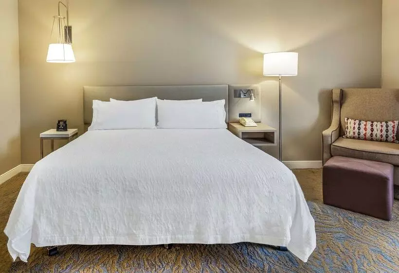 ホテル Hilton Garden Inn St Charles