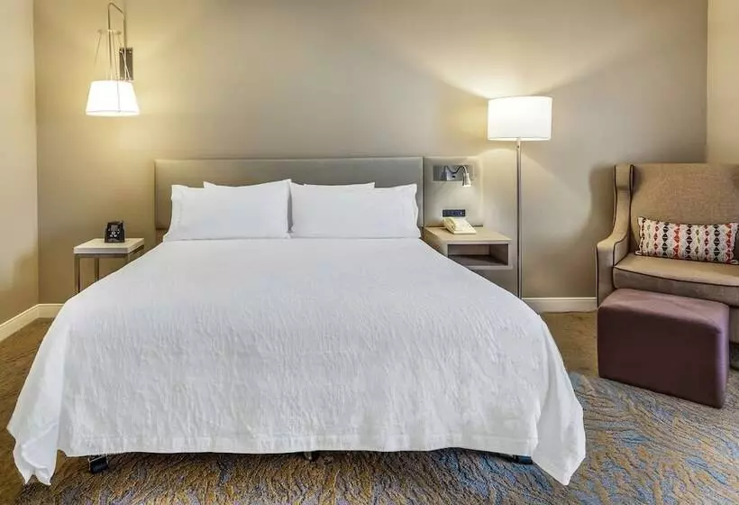 ホテル Hilton Garden Inn St Charles