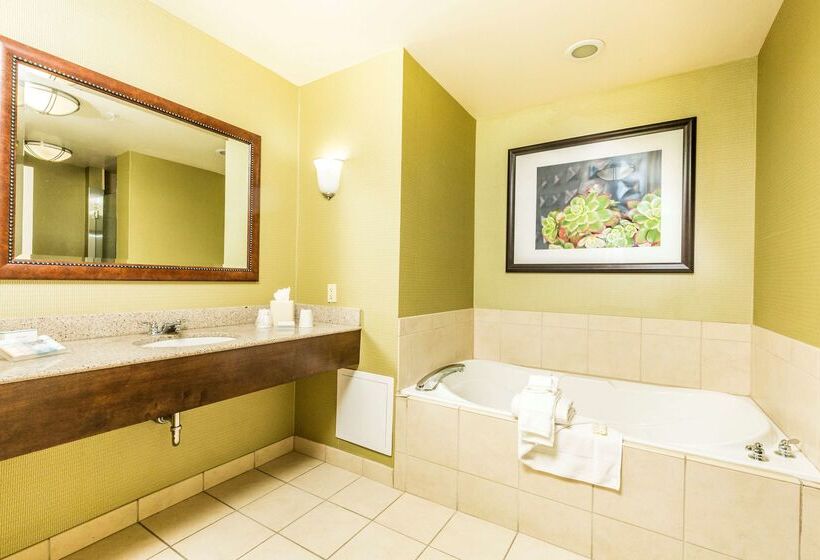 בית מלון כפרי Hilton Garden Inn St. George