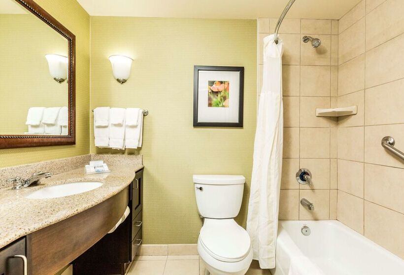 בית מלון כפרי Hilton Garden Inn St. George