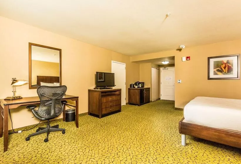 בית מלון כפרי Hilton Garden Inn St. George