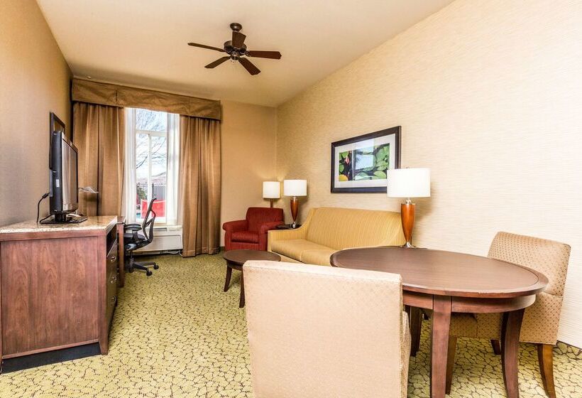 בית מלון כפרי Hilton Garden Inn St. George