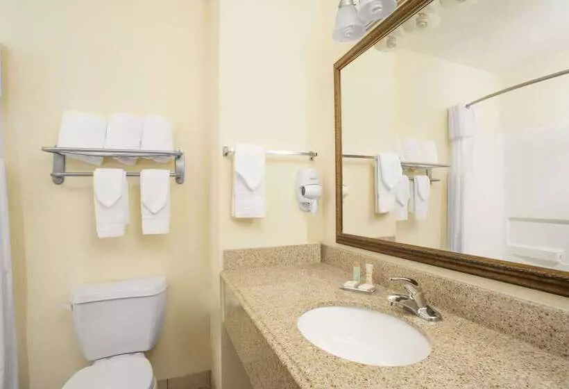 هتل Howard Johnson By Wyndham Houma