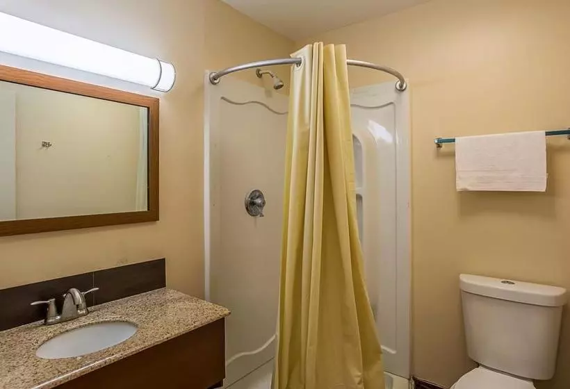 汽车旅馆 Rodeway Inn Nashville Airport South