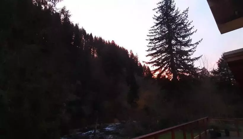 Angels Rest B&b Lavender Farm