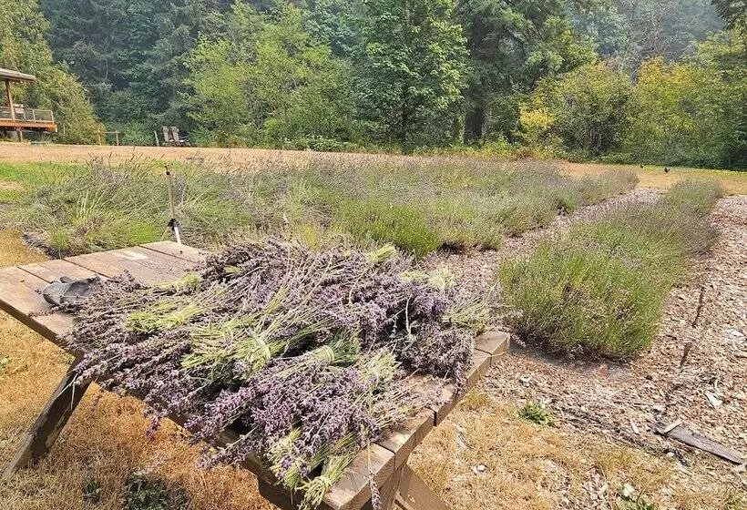 Angels Rest B&b Lavender Farm