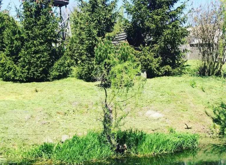 ホテル готельний комплекс трапезна