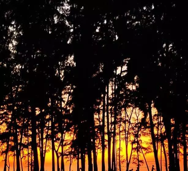 Majatalo Kamat Cottages