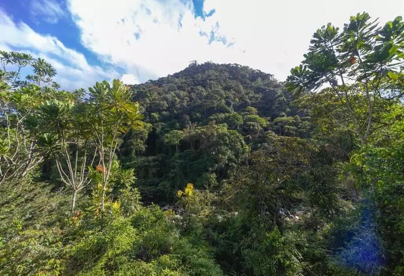 Majatalo La Perla Negra   Black Pearl Eco Hostel