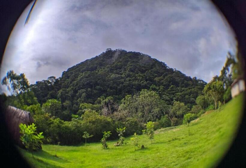 Pension La Perla Negra   Black Pearl Eco Hostel