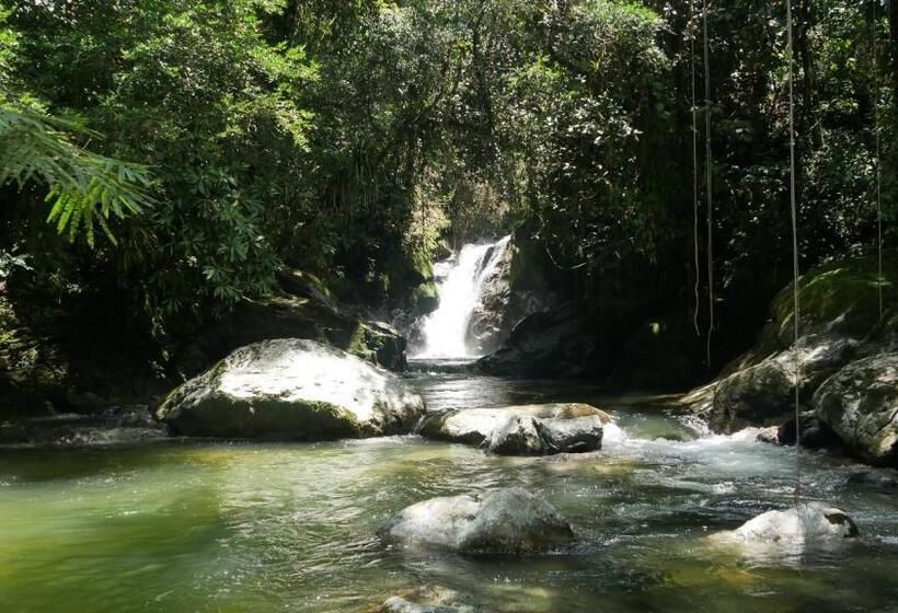 Pension La Perla Negra   Black Pearl Eco Hostel