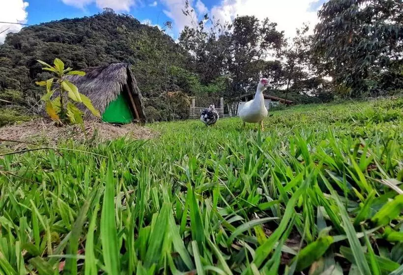 Majatalo La Perla Negra   Black Pearl Eco Hostel