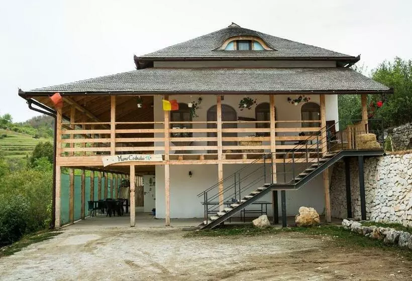 هاستل Muma Codrului