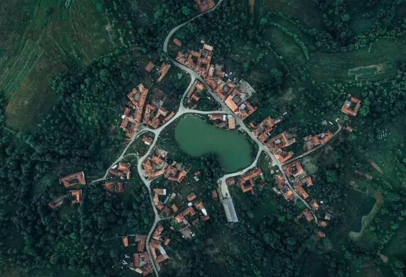 هاستل Muma Codrului